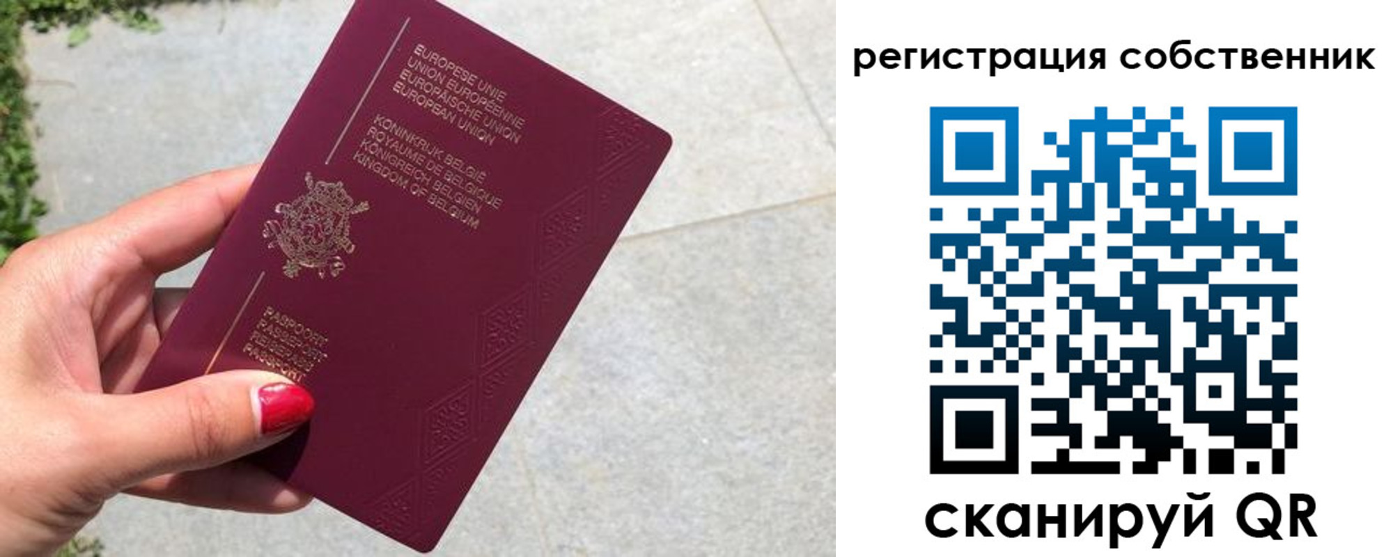 временная регистрация поиск в Апатитах